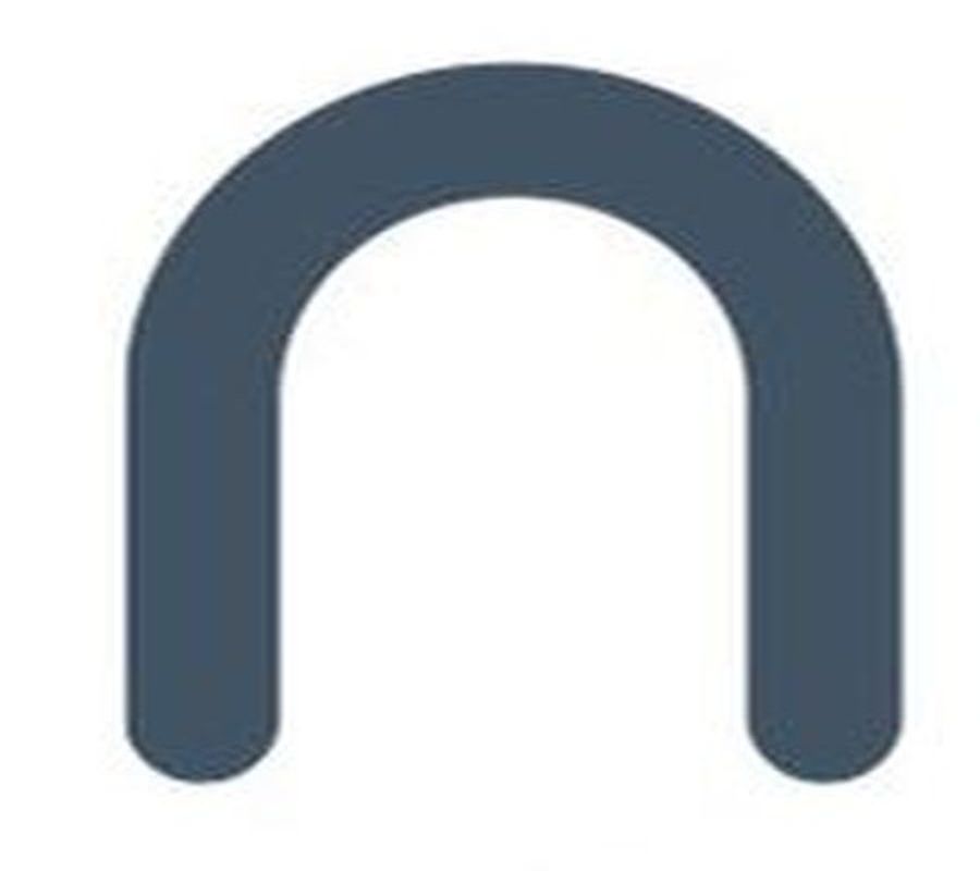 Logo di NETIUM