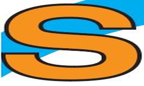 SNALSEA logo