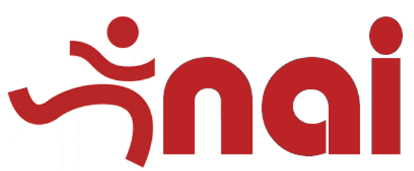 NAI by IDEST logo