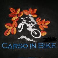 Team Granzon logo